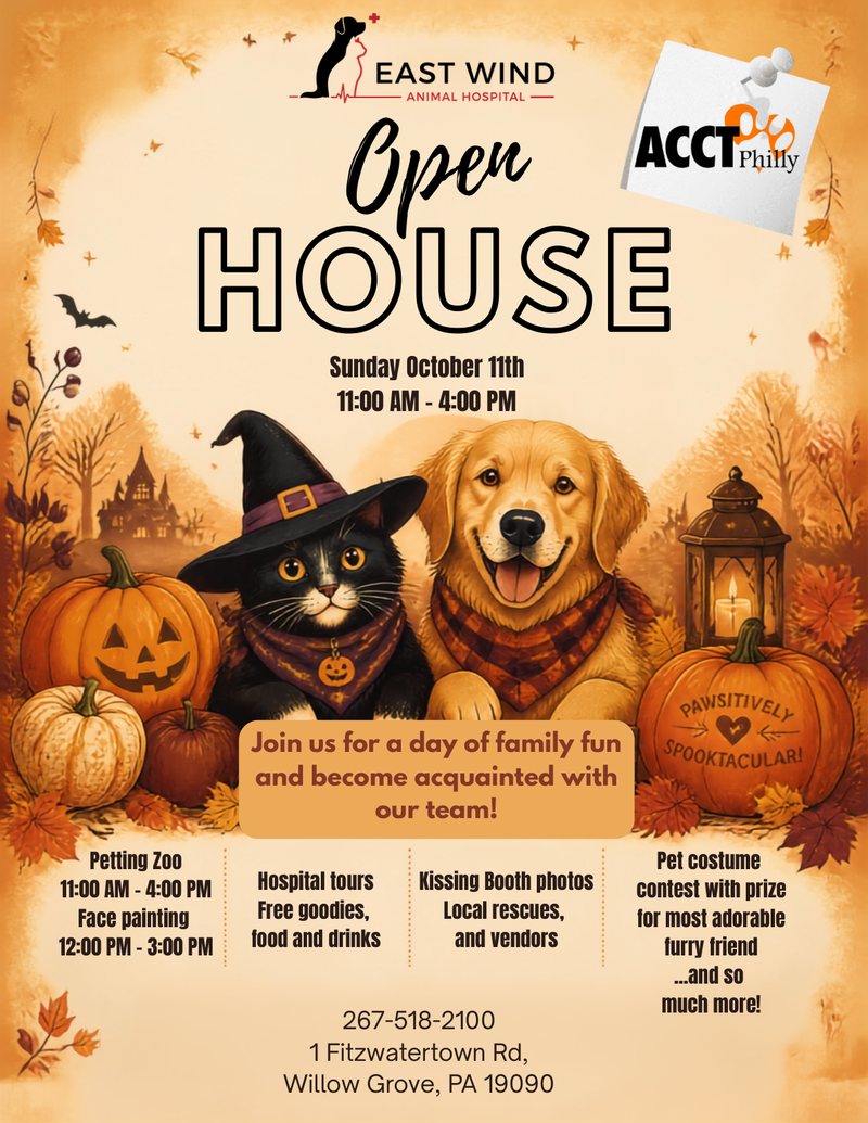 East Wind Animal Hospital Open House flyer: Sunday, October 11, 11:00 AM to 4:00 PM at 1 Fitzwatertown Rd, Willow Grove, PA. Petting zoo, face painting, hospital tours, free goodies, food and drinks, kissing booth photos, local rescues and vendors, and a pet costume contest.